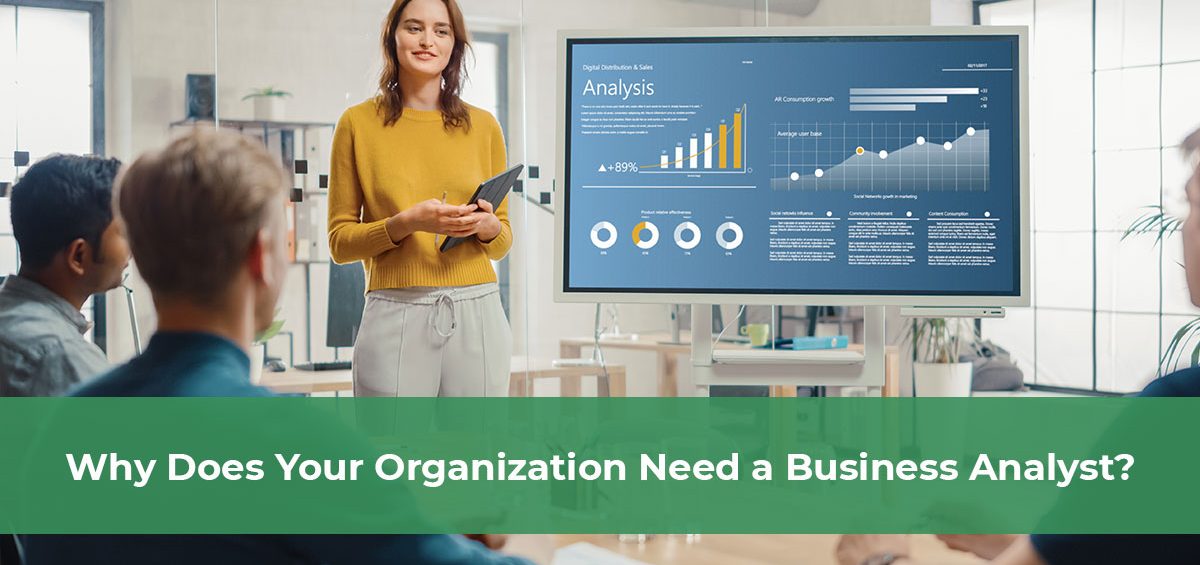 who-does-your-organization-need-business-analyst