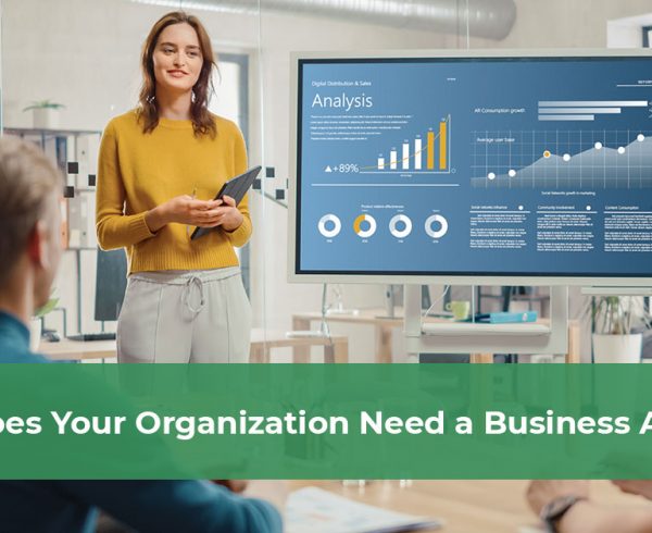 who-does-your-organization-need-business-analyst